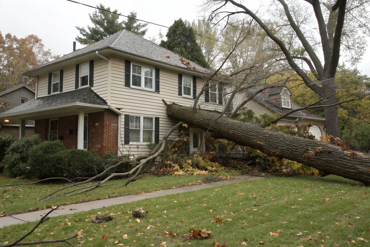 A large broken tree limb lying across the roof of a two-story house after a windstorm